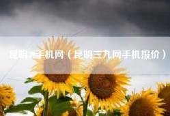 昆明39手机网（昆明三九网手机报价）