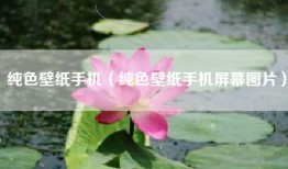 纯色壁纸手机（纯色壁纸手机屏幕图片）