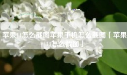 苹果14怎么截图苹果手机怎么截图「苹果14怎么截图」