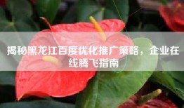 揭秘黑龙江百度优化推广策略，企业在线腾飞指南