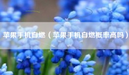 苹果手机自燃（苹果手机自燃概率高吗）