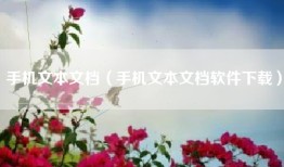 手机文本文档（手机文本文档软件下载）