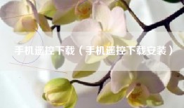 手机遥控下载（手机遥控下载安装）