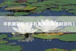 手机翻新机（手机翻新机属于假货吗）