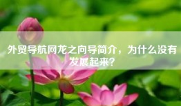 外贸导航网龙之向导简介，为什么没有发展起来？
