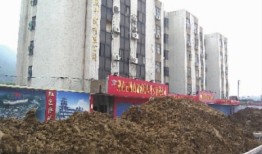 李途纯不做“奶爸” 转行进军旅游业未见光明手机凤凰网「李途纯不做“奶爸” 转行进军旅游业未见光明」