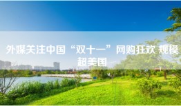 外媒关注中国“双十一”网购狂欢 规模超美国
