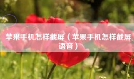 苹果手机怎样截屏（苹果手机怎样截屏语音）
