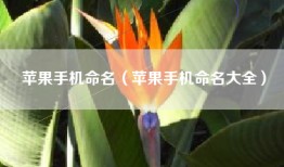 苹果手机命名（苹果手机命名大全）
