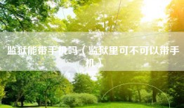 监狱能带手机吗（监狱里可不可以带手机）
