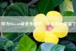 华为Mate60被老外疯抢，手机壳大卖笑了