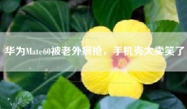 华为Mate60被老外疯抢，手机壳大卖笑了