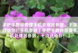 手把手教你看懂手机处理器参数，干货送给你！手机参数「手把手教你看懂手机处理器参数，干货送给你！」