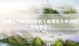 摄像头不突出的手机（摄像头不突出的手机推荐）