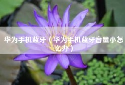 华为手机蓝牙（华为手机蓝牙音量小怎么办）