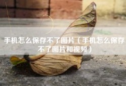 手机怎么保存不了图片（手机怎么保存不了图片和视频）
