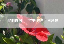 昆明首例！“带押过户”再延伸