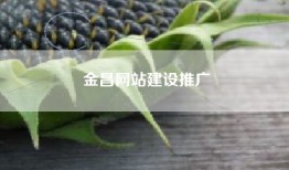 金昌网站建设推广