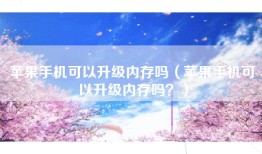 苹果手机可以升级内存吗（苹果手机可以升级内存吗？）
