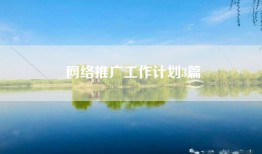 网络推广工作计划3篇