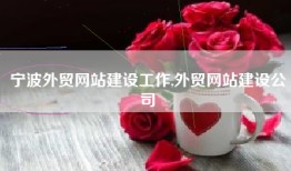 宁波外贸网站建设工作,外贸网站建设公司