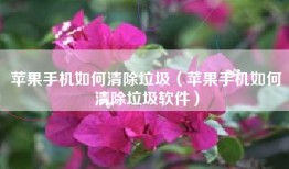 苹果手机如何清除垃圾（苹果手机如何清除垃圾软件）