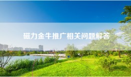 磁力金牛推广相关问题解答