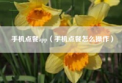 手机点餐app（手机点餐怎么操作）