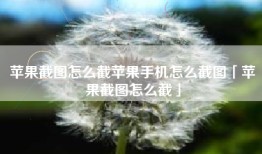 苹果截图怎么截苹果手机怎么截图「苹果截图怎么截」