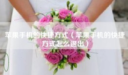 苹果手机的快捷方式（苹果手机的快捷方式怎么退出）