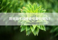 如何做不同搜索引擎的排名？