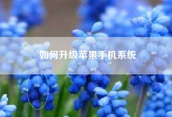 如何升级苹果手机系统