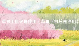 苹果手机老是停用（苹果手机总是停用）