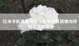 红米手机清理内存（红米手机清理内存提示不消失）