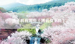 薄手机有哪些（薄机身手机）
