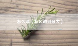 怎么调（怎么调到最大）
