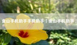 金山手机助手手机助手「金山手机助手」