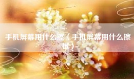 手机屏幕用什么擦（手机屏幕用什么擦拭）