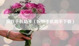 豌豆手机助手（豌豆手机助手下载）