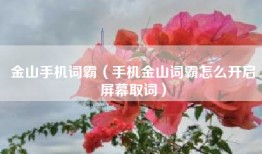 金山手机词霸（手机金山词霸怎么开启屏幕取词）