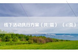 线下活动执行方案（共7篇）  （47页）