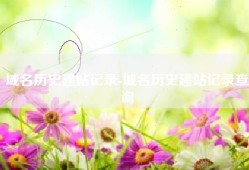 域名历史建站记录-域名历史建站记录查询