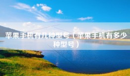 苹果手机有几种型号（苹果手机有多少种型号）