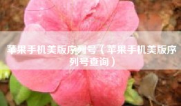 苹果手机美版序列号（苹果手机美版序列号查询）