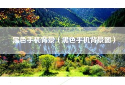 黑色手机背景（黑色手机背景图）