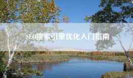SEO搜索引擎优化入门指南
