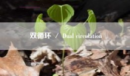 双循环 ／ Dual circulation