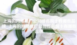 上海的网络推广公司排名前十有哪些品牌_上海的网络推广公司排名前十有哪些品牌
