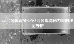 nsa武器库有多少NSA武器库隐秘力量的秘密守护