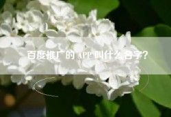 百度推广的 APP 叫什么名字？